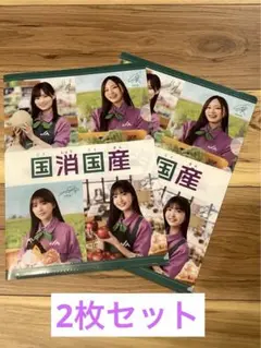 【新品】乃木坂46 クリアファイル　2枚セット