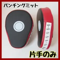訳あり パンチングミット 片手のみ 左右兼用 キックボクシング テコンドー 1