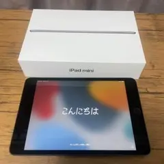 ipad mini 5 wi-fiモデル 64gb