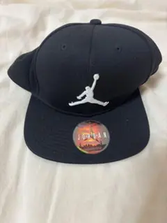 Item thumbnail for item 507eef4b-270d-45ae-8981-85fac9d46b7f