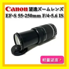 Item thumbnail for item 060b4a33-c8b3-48e2-9b0a-5ed7fbd0e08c