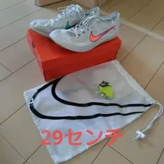 ナイキ ドラゴンフライ29センチ