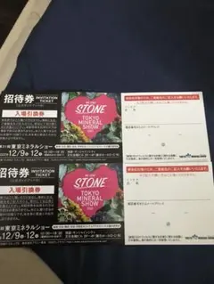 Tokyo mineral showチケット