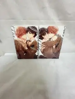 ピットスポルム一葉二葉