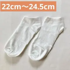 レディース くるぶしソックス 無地 ホワイト 綿 22cm～24.5cm