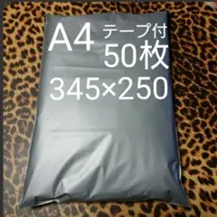 Item thumbnail for item 236f4934-a46a-4504-8a56-7ea24cdc2b0b