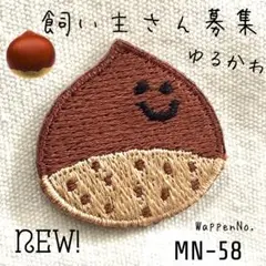 激レア⚡️可愛い❤️にっこり☺スマイル★栗●モンブラン◆レア♩ワッペン　クリちゃん