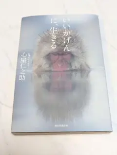 いいかげんに、生きる