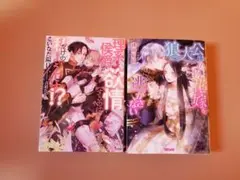 TL小説4冊セット　ソーニャ文庫　ヴァニラ文庫　ハニー文庫