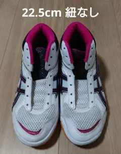 Item thumbnail for item 40cfda74-4a27-4bd1-a092-31843fe66758