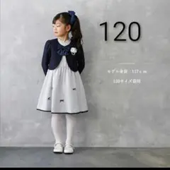 超美品120　utremi x CHOPINショパン　ジャガードアンサンブル
