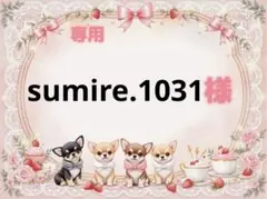 限定10枚　レアパネル生地　6柄セット　猫パネル生地