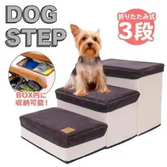 Item thumbnail for item 94e30570-23f0-4417-8727-c9eb0f459a5e