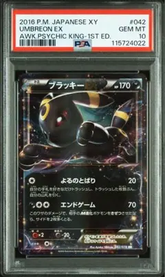 最安値【匿名配送】PSA10 ブラッキーEX RR XY10 042/078