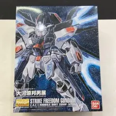 2025年最新】MG ストライクフリーダム 大河原邦男の人気アイテム