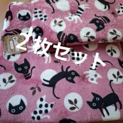 Item thumbnail for item 402c4e9b-a34a-49f1-b953-5df7afb1f3c4