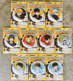 ハイキュー‼︎ 缶バッジコレクション 横断幕 フルカラー缶バッジ 全10種