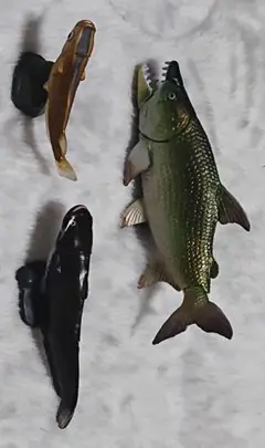 魚 フィギュア 3体セット