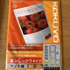 Item thumbnail for item 3ea07bf5-7117-403e-af25-86349c1de04f