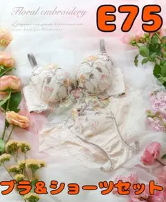 リサマリ E75　レンヌ　ブラ＆ショーツセット レーヌ