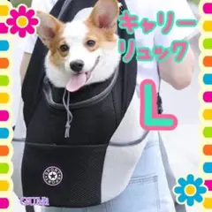 ペット 犬 猫 キャリーバック キャリーリュック お出かけ 通院 ブラック L