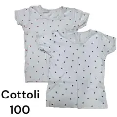 Cottoli アンダーシャツ 100cm 2枚セット