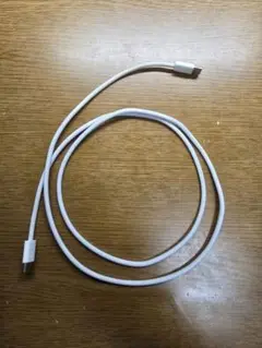 Apple純正Type CtoCケーブル