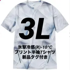 【ジオホワイト3L】氷撃冷感(R)-10℃プリント半袖Tシャツ ワークマン