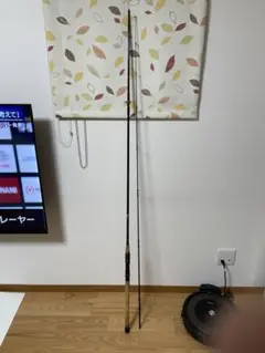 ダイワ モアザン サーフマスターMT110ML