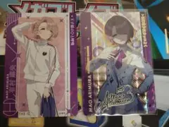有村麻央カードセット
