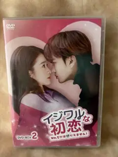 イジワルな初恋 DVD-BOX 2 正規版