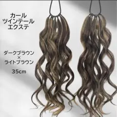 エクステ35cm ツインテール ダンスヘアー イベントヘアー ギャル 祭り