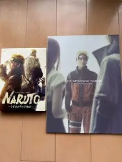 NARUTO ～うずまきナルト物語～　DVDパンフレット