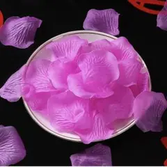 Item thumbnail for item 10549c0a-d65a-430a-a528-b2dcc22acc40