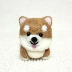 柴犬