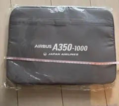 2025年最新】A350記念品の人気アイテム - メルカリ