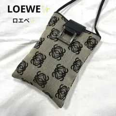【希少】LOEWE ロエベ アナグラム ショルダーバッグ キャンパス×レザー