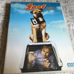 スポット('01米)〈2003年5月23日までの期間限定出荷〉