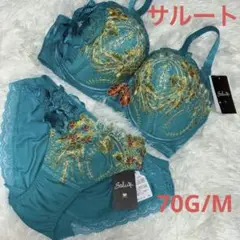 サルート 17グループ黄龍【ブラE65&キャミL&その他3点M】