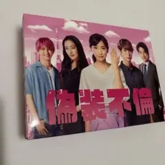 偽装不倫 DVD BOX ★