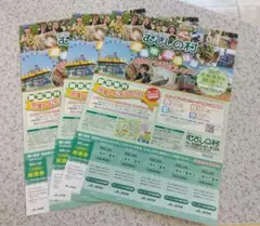むさしの村1日入園券 来年5月まで 即日発送 3セット