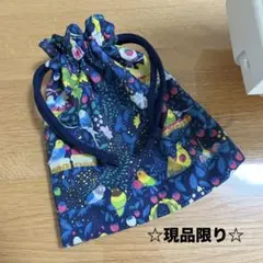 セキセイインコ　オカメインコ　コザクラインコ　巾着袋　マチ有り　ハンドメイド