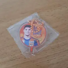 ダニーロゴメス選手 うちわアクリルキーホルダー