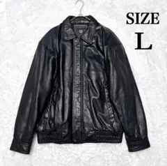Item thumbnail for item f3599f46-035d-4b7b-af95-59a9807836ed