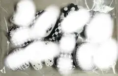 Item thumbnail for item 92001033-4c80-4182-b17d-9c6a060afa1c