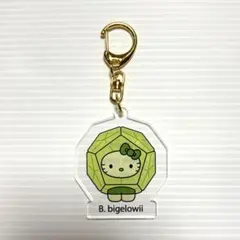 関西万博限定　キティ　藻　bigelowii キーホルダー　日本館　サンリオ