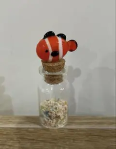 カクレクマノミ　瓶