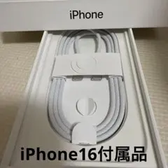 【新品未使用】iPhone純正イヤホン付属品　タイプCtoCケーブル