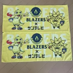 ☆新品未使用☆日本製鐵堺ブレイザーズ×サンテレビ コラボタオル 2枚セット