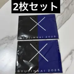 ドラゴンズ　竜陣祭　中日ドラゴンズ　氣志團　手ぬぐい　手拭い　新品　2枚セット